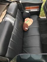 Cadillac Deville - Cadillac Deville Gebrauchtwagen