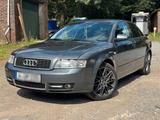 Audi A4 1.8T *TÜV NEU*SERVICE NEU*8 FACH* - Audi A4 aus 2001: 1.8