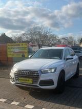 Audi Q5 40 TDI quattro sport AdBlue - Audi Q5 in Duisburg