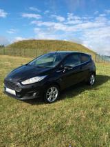 Ford Fiesta 1,5 TDCi 70kW Trend , 4,5 Liter je 100 KM - Ford Fiesta: 7