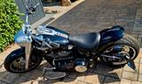 Harley-Davidson Fat Boy 114 flfbs - Harley-Davidson Motorräder in Kassel