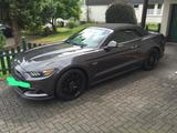 Ford Mustang 5.0 Ti-VCT V8 GT Auto GT - Ford Mustang Gebrauchtwagen in Köln