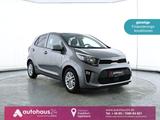 Kia Picanto 1.2 Vision Navi|CAM|Sitzhzg.|DAB - Kia Picanto vision Gebrauchtwagen