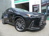Lexus NX 350h Business Line LED/LEDER/ACC/KAMERA/18ZOL - Lexus Gebrauchtwagen in Berlin