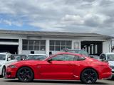 Ford Mustang GT Fastback 5.0*SHELBY OPTIK*KUNDENAUFTR - Ford: Shelby