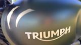 Triumph Scrambler 900 - TRIUMPH SCRAMBLER