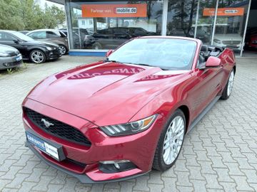 Ford Mustang - 8