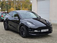 Fahrzeugabbildung Model Y Maximale Reichweite Dual AWD Long Range