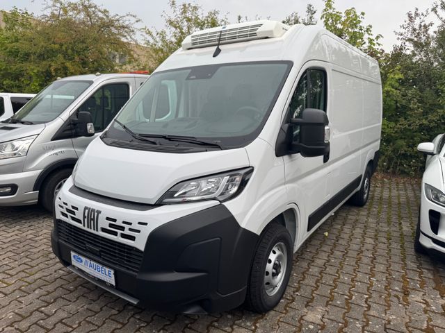 Fiat Ducato Tiefkühler L2H2 Thermoking V300 Max