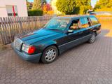 Mercedes-Benz S124 / W124 250 TD / E 250 T... - Mercedes-Benz E 250 in Dresden