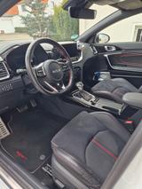 Kia pro_cee'd / ProCeed 1.6 T-GDI DCT GT GT - Kia pro cee'd / ProCeed aus 2023