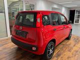 Fiat Panda 1.2 Urban Easy KLIMA.ALU.DAB.PDC.TÜV.NEU - gebrauchte Fiat Panda aus dem Jahr 2019