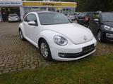 Volkswagen Beetle Lim. Design BMT - Cars in Rheine: Kleinwagen