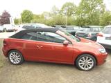 Volkswagen Golf VI Cabriolet - Volkswagen Golf mit Benzin-Antrieb: Cabrio