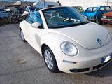 Volkswagen New Beetle 1.6 Cabrio ASI - Volkswagen New Beetle: Beige