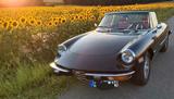 Alfa Romeo Spider Fastback voll restauriert - Alfa Romeo Gebrauchtwagen von 1973
