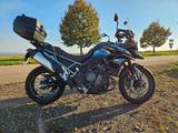 Triumph Tiger 900 GT low - TRIUMPH TIGER 900 GT
