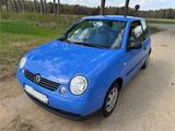 Volkswagen HU NEU! bis 2028 / Lupo 1.0 BASIS  - Volkswagen Lupo: Blau
