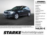 Skoda Kamiq 1.0 TSI DSG Selection  LED Kamera PDC LM T - Skoda Kamiq Gebrauchtwagen