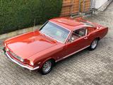 Ford Mustang Fastback GT 289 Schalter TÜV neu - Ford Mustang aus 1966: Fastback