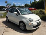 Fiat 500 Cabrio Lounge *Klimaaut.+Navi* - Fiat 500: Weiß, Cabrio