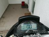 Futura Angry Falcon - FUTURA MOTORRAD