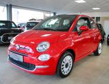 Fiat 500 1.0 Dolcevita Pano PDC 1.Hand TÜV neu - Fiat 500 mit Benzin-Antrieb