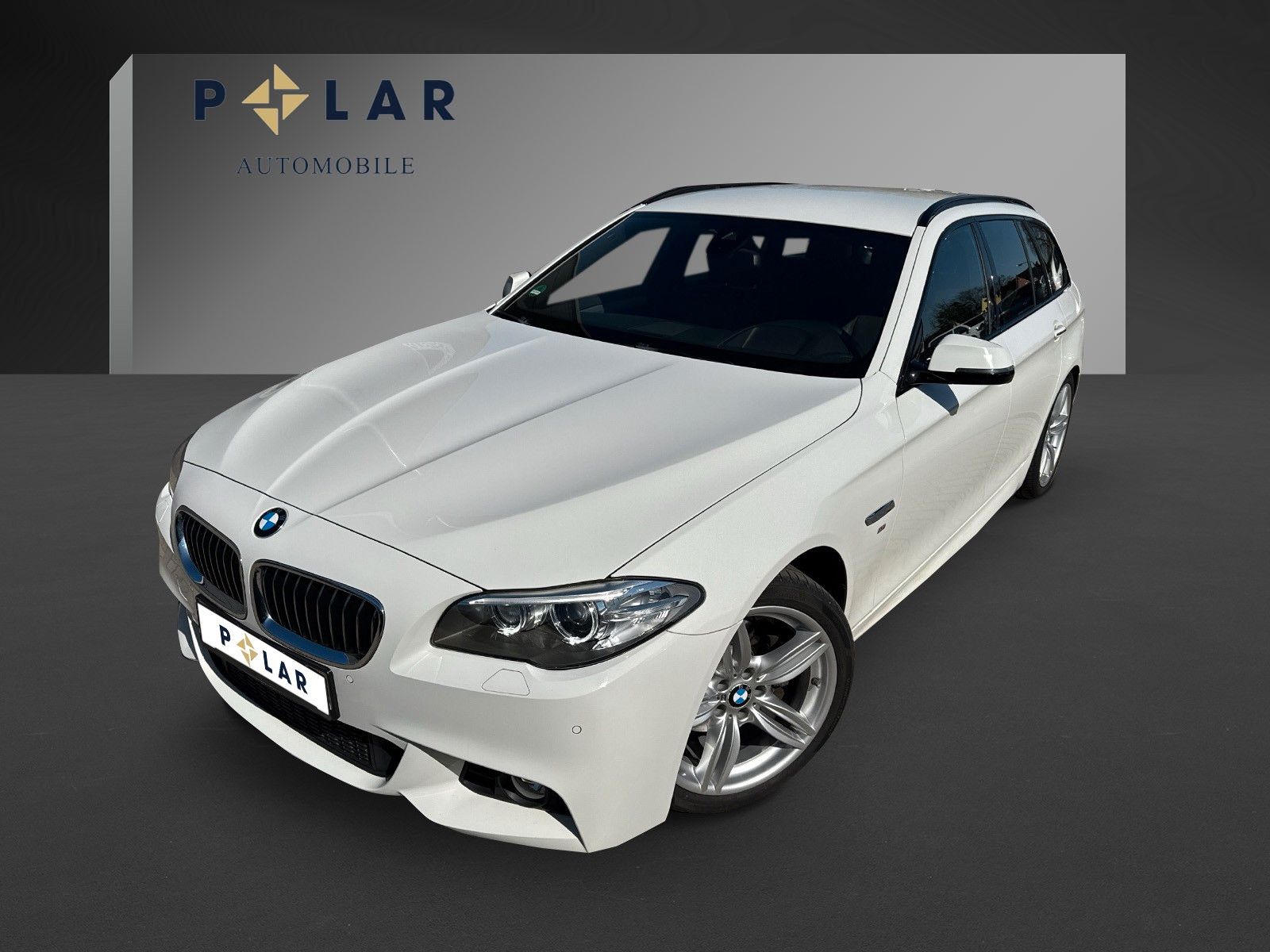 Fahrzeugabbildung BMW 520d Touring*AHK*M-Paket*Head-Up*Bhz.Lenkrad*PDC