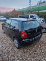 Volkswagen Polo IV Cricket - Volkswagen Polo: Cricket