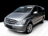 Mercedes-Benz Vito Kombi 4x4 116 CDI lang Standh Klima Navi - gebrauchte Mercedes-Benz Vito aus dem Jahr 2015