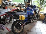 Yamaha XT 600 Tenere 1 VJ  - YAMAHA XT 600 TENERE