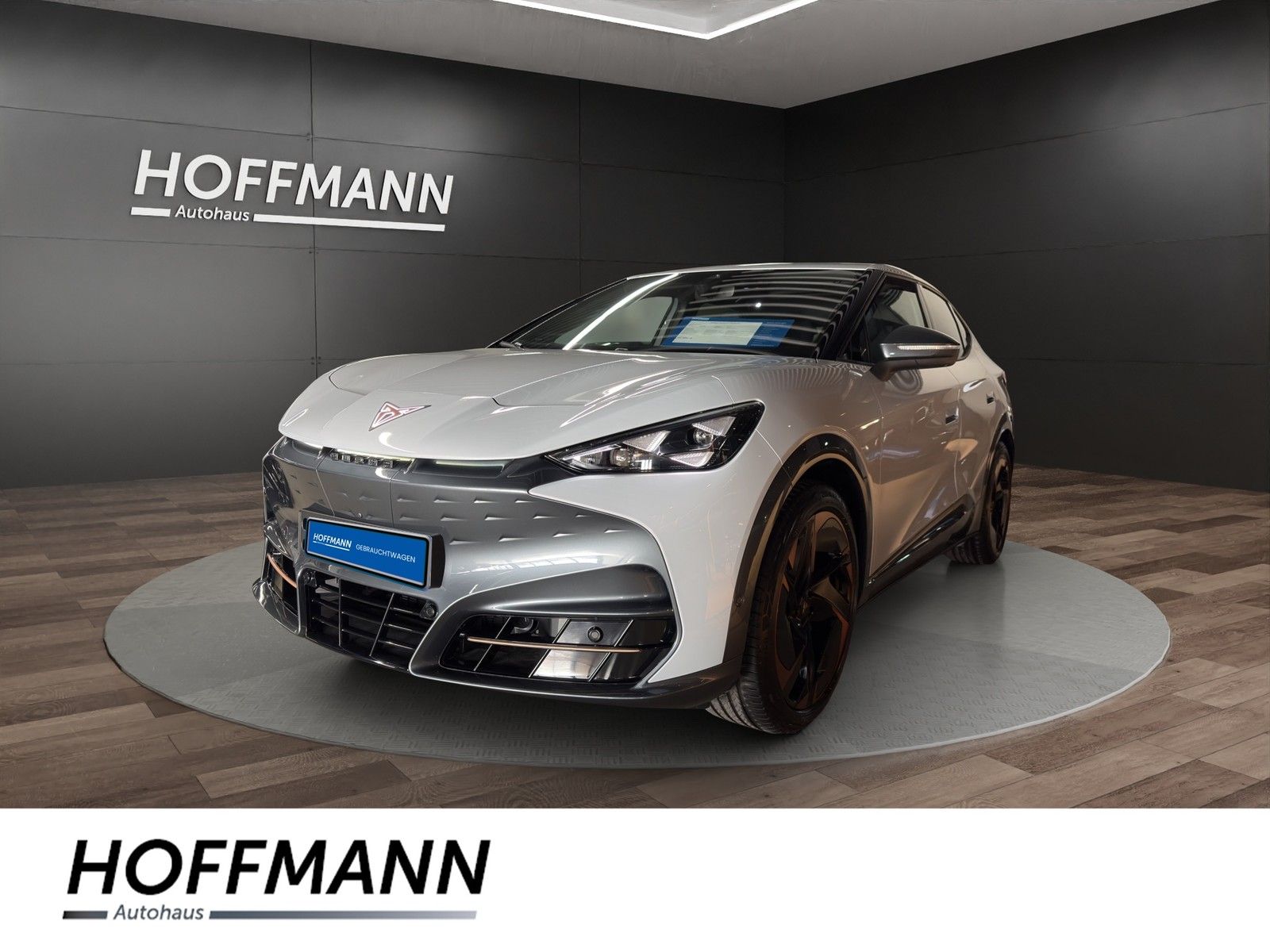 Fahrzeugbild von Cupra Tavascan