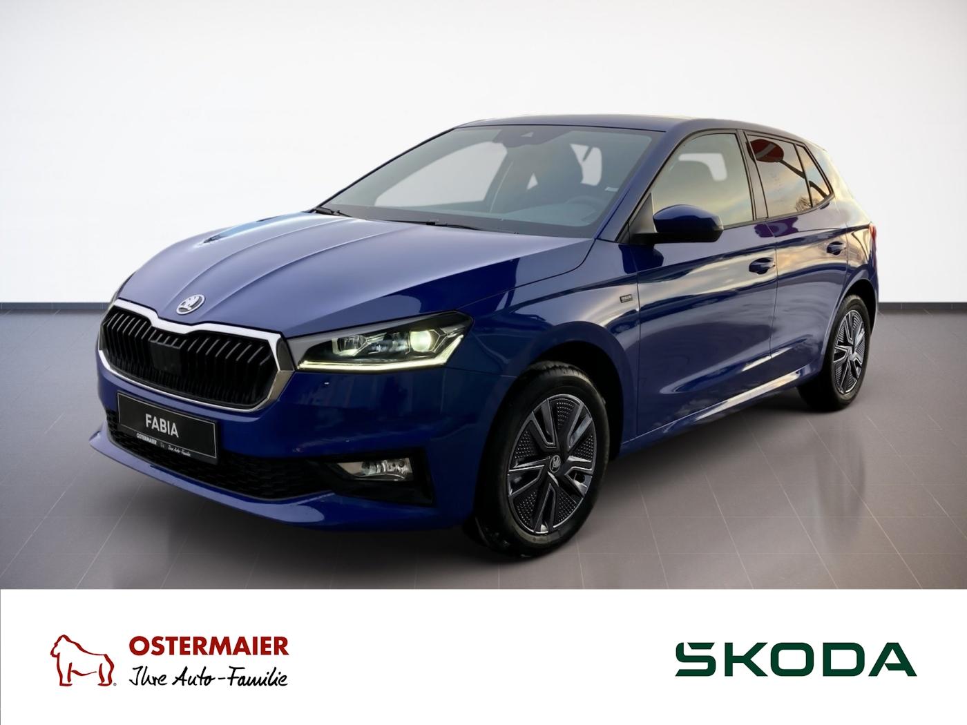 Skoda Fabia Tour 1.0TSI 85kW LED.NAV.PDC.WINTER.AHK-VO