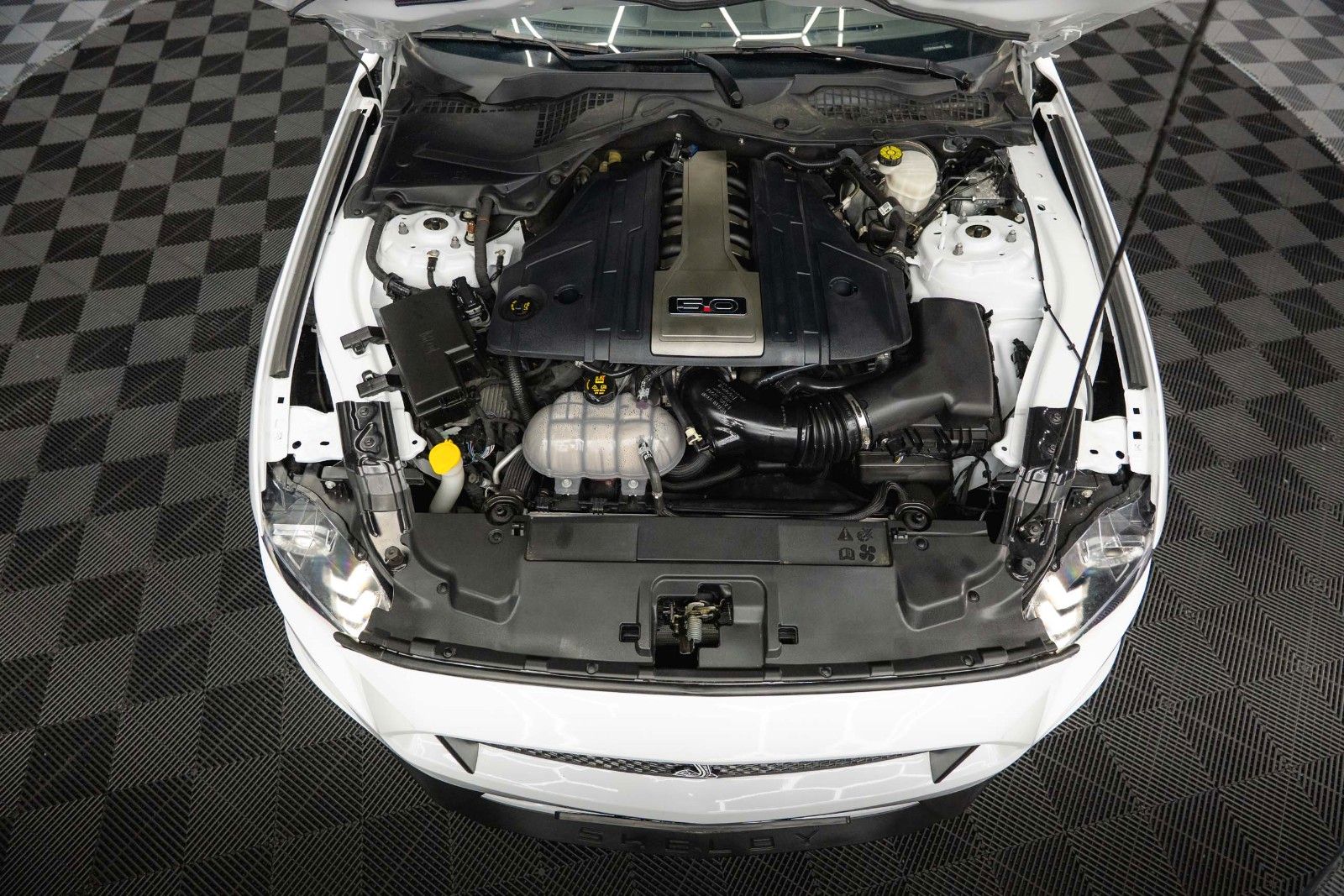 Fahrzeugabbildung Ford Mustang Shelby GT 500 5.0 V8 Performance PREMIUM