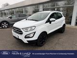 Ford EcoSport Cool & Connect PDC Temp Allwetterreifen