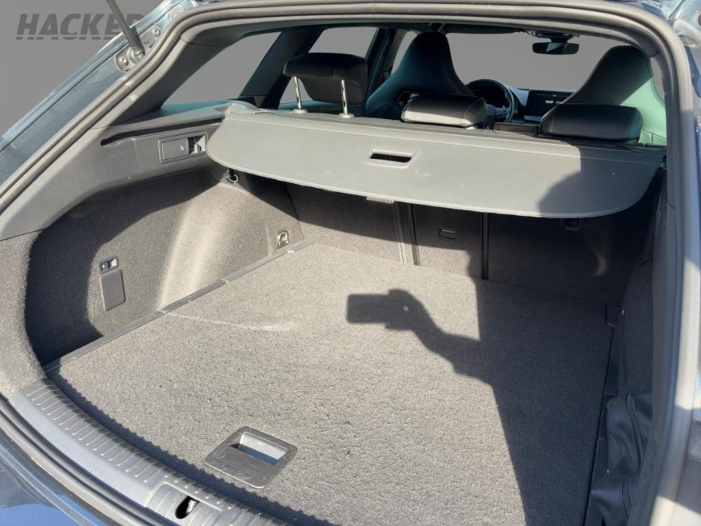 Cupra Leon ST 2.0 TSI AHK BeatsAudio Navi Sitzheizung 