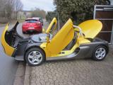 Renault Sport Spider Windabweiser nur 4.700km! selten! - Renault Spider Gebrauchtwagen