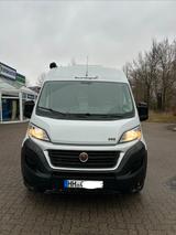 Sunlight Cliff 600 | Solar | AHK | Zahnriemen neu - Sunlight Cliff