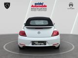 Volkswagen Beetle 1.2 TSI BMT ALLSTAR + Cabriolet, 1.Hand - VW Beetle Gebrauchtwagen in Bremen