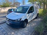 Volkswagen Caddy 2,0TDI 75kW BMT DSG LKW Zulassung  - Volkswagen Caddy: Lkw Zulassung