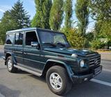 Mercedes-Benz G 350 Station Memory Bose BlueTec - Mercedes-Benz G-Klasse Gebrauchtwagen in Frankfurt