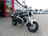 Honda Dax 125 mit ABS incl. Anlieferung - HONDA DAX
