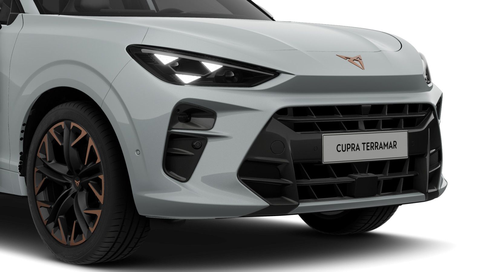 Cupra Terramar - Bild 7