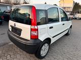 Fiat Panda 1.1 8V Active*TÜV NEU*1. HAND* - Fiat Panda Gebrauchtwagen in Braunschweig