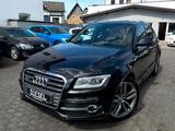 Audi SQ5 3.0 TDI quatt.*MEMORY*CARBON*KAMERA*KEY**21" - schwarze Audi SQ5