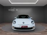 Volkswagen Beetle 1.4 TSI Design/HU neu/XEN/LEDER/NAVI/TEMP - Volkswagen Beetle: Coupe