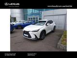 Lexus NX 350 h Business Line, Interieur,Tech - weiße Lexus NX 350h