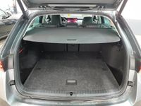 Skoda Octavia - Vorschau Bild 6