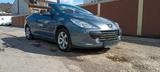 Peugeot 307 cc 1,6 Cabrio TÜV 09/27 - Peugeot 307 mit Benzin-Antrieb: Cabrio, 2.0