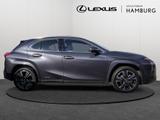 Lexus UX 250h Luxury Line FWD HGSD HUD MATRIX-LED - scheckheftgepflegte Lexus Gebrauchtwagen